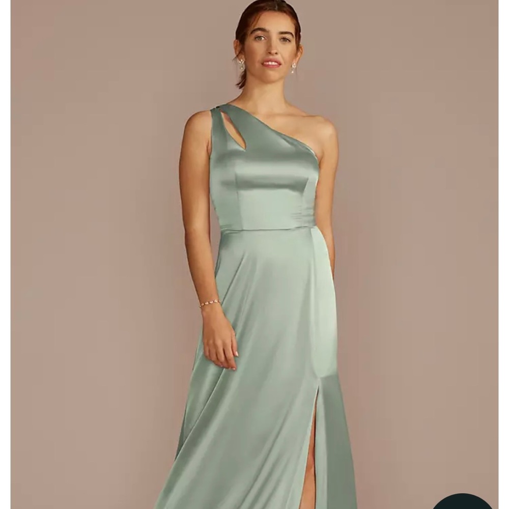 David’s Bridal Dusty Sage Green Dress